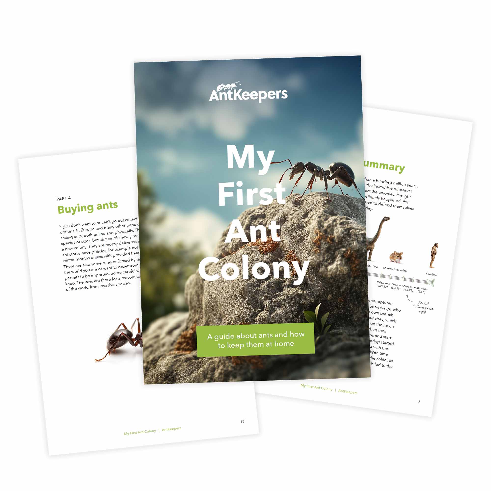 Antkeeping Starter Pack - Image 11