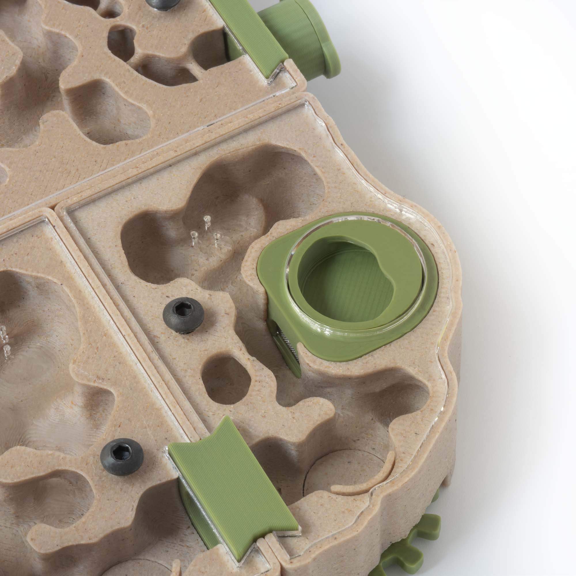 Nest Formicarium (Ant Farm) - Image 8