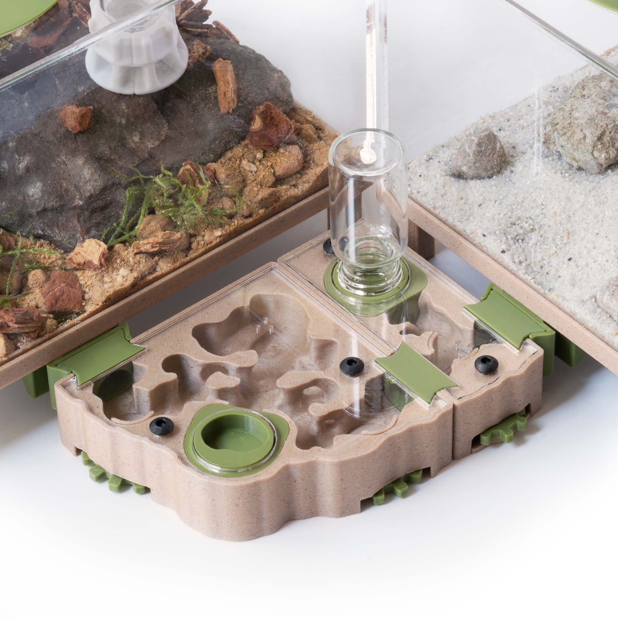 Outworld for Ants - Image 4