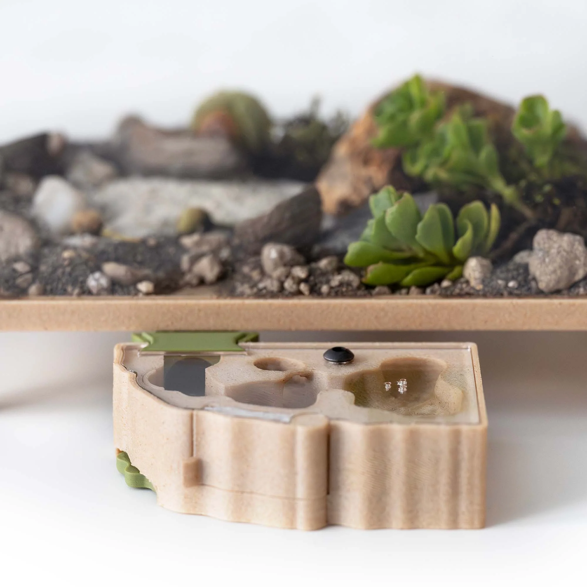 Outworld for Ants - Image 5