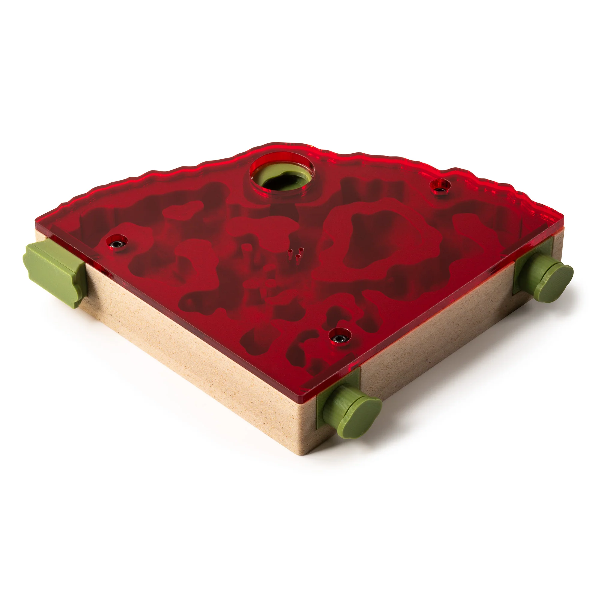 Nest Formicarium (Ant Farm) - Image 13